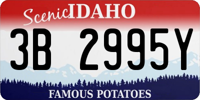 ID license plate 3B2995Y