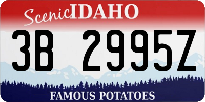 ID license plate 3B2995Z