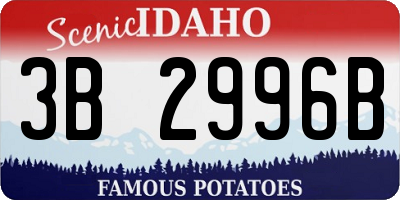 ID license plate 3B2996B