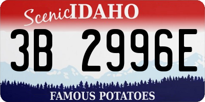 ID license plate 3B2996E