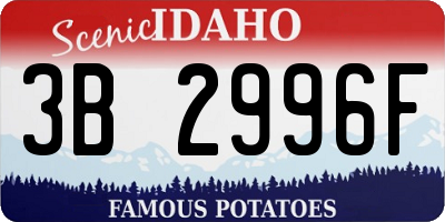 ID license plate 3B2996F