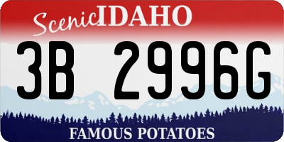 ID license plate 3B2996G