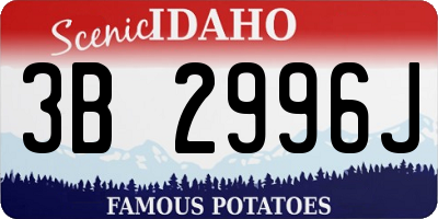 ID license plate 3B2996J