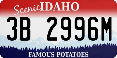 ID license plate 3B2996M