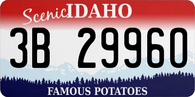 ID license plate 3B2996O