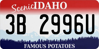ID license plate 3B2996U