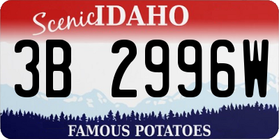 ID license plate 3B2996W