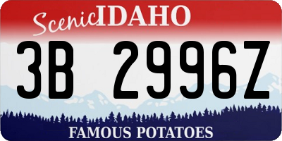 ID license plate 3B2996Z