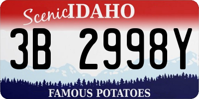 ID license plate 3B2998Y