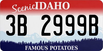 ID license plate 3B2999B