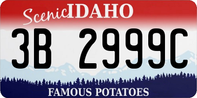 ID license plate 3B2999C