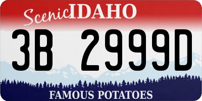 ID license plate 3B2999D