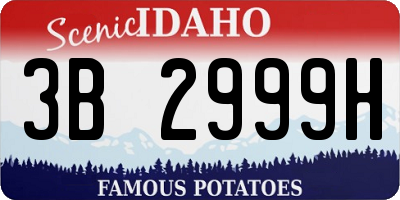 ID license plate 3B2999H
