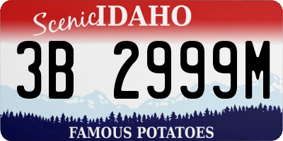 ID license plate 3B2999M