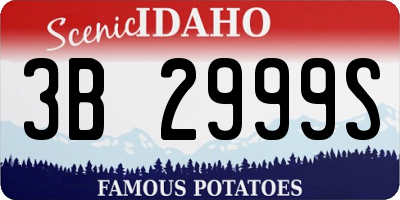 ID license plate 3B2999S