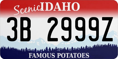 ID license plate 3B2999Z