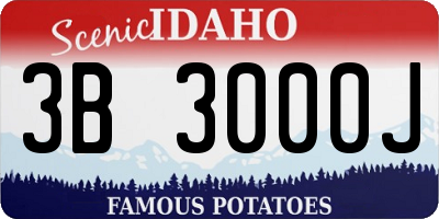 ID license plate 3B3000J