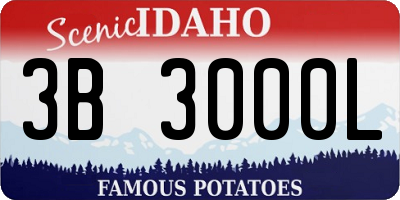 ID license plate 3B3000L