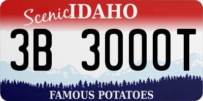 ID license plate 3B3000T