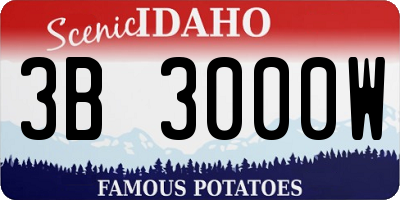 ID license plate 3B3000W