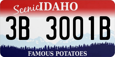 ID license plate 3B3001B