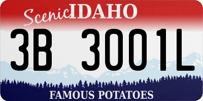 ID license plate 3B3001L