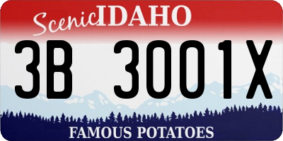 ID license plate 3B3001X