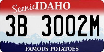 ID license plate 3B3002M