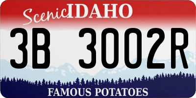 ID license plate 3B3002R