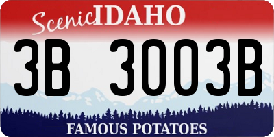ID license plate 3B3003B