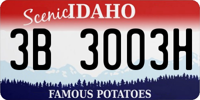 ID license plate 3B3003H