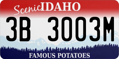 ID license plate 3B3003M