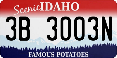 ID license plate 3B3003N