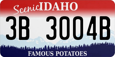 ID license plate 3B3004B