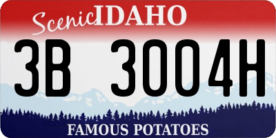 ID license plate 3B3004H