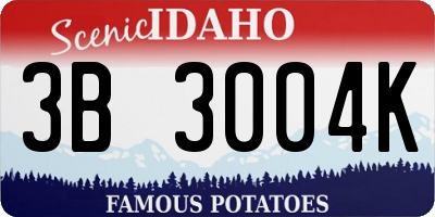 ID license plate 3B3004K