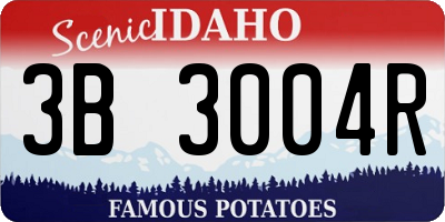 ID license plate 3B3004R