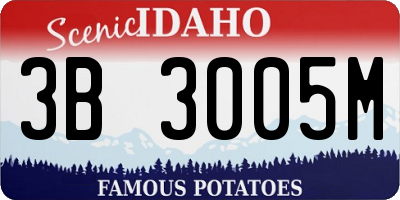ID license plate 3B3005M