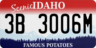 ID license plate 3B3006M