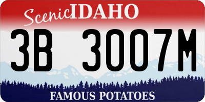 ID license plate 3B3007M