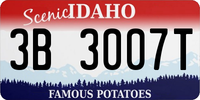 ID license plate 3B3007T