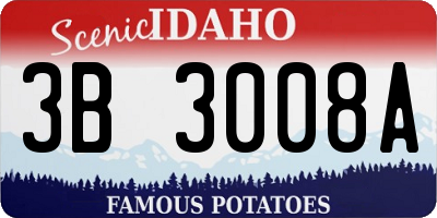 ID license plate 3B3008A