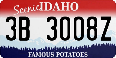 ID license plate 3B3008Z