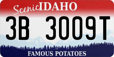 ID license plate 3B3009T