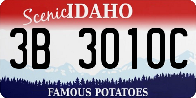 ID license plate 3B3010C
