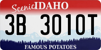ID license plate 3B3010T