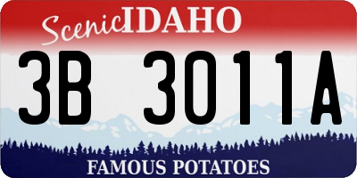 ID license plate 3B3011A