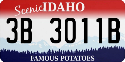 ID license plate 3B3011B
