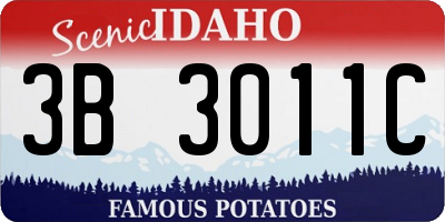 ID license plate 3B3011C