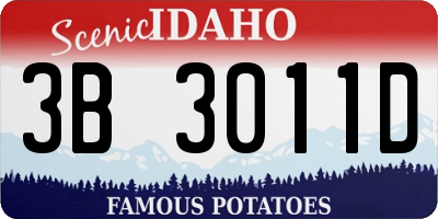 ID license plate 3B3011D